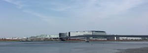 IMG_6505 (2)